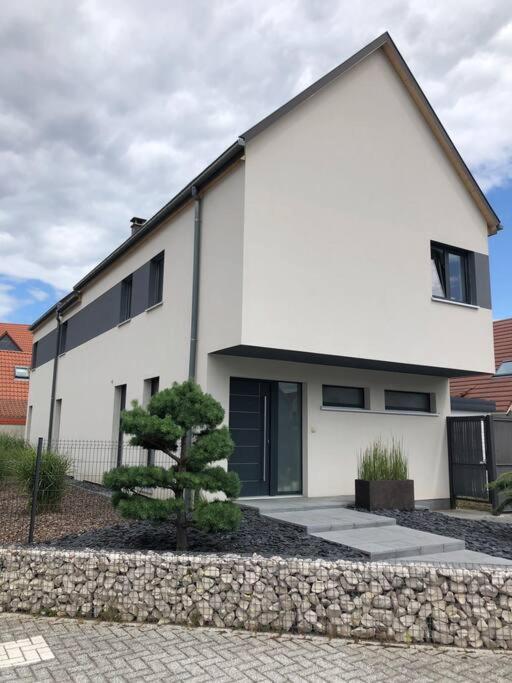 Maison D'Architecte Situee Sur La Route Des Vins Chatenois  Exterior photo
